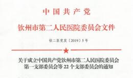關(guān)于成立中國共產(chǎn)黨第二人民醫(yī)院委員會第一黨支部等22個支部委員會的通知